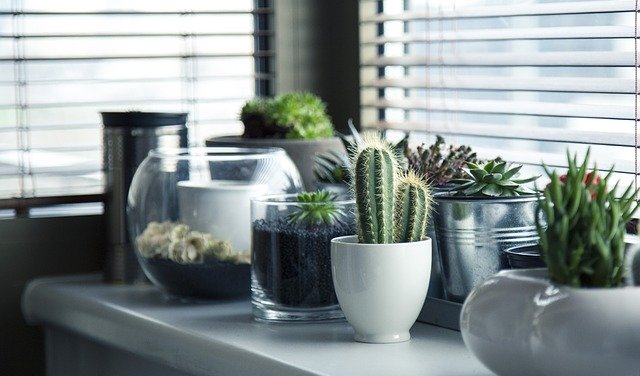 奧萬大森林遊樂區辦理「蟲零開始—昆蟲專業研習」