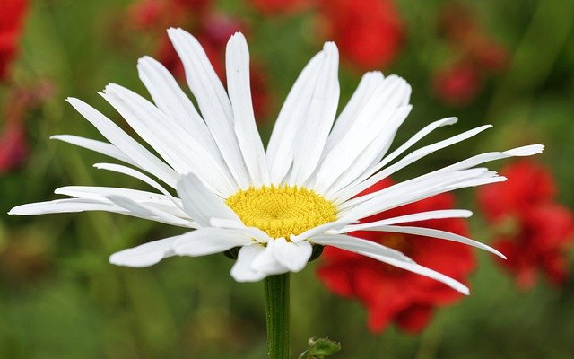 轉知：為振興花蓮縣觀光，自113年5月2日起至同年12月31日止，放寬公務人員國民旅遊卡休假補助費措施規定